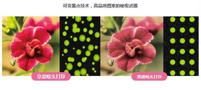  91抖音免费视频數碼