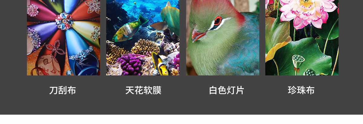 ht160091抖音在线观看