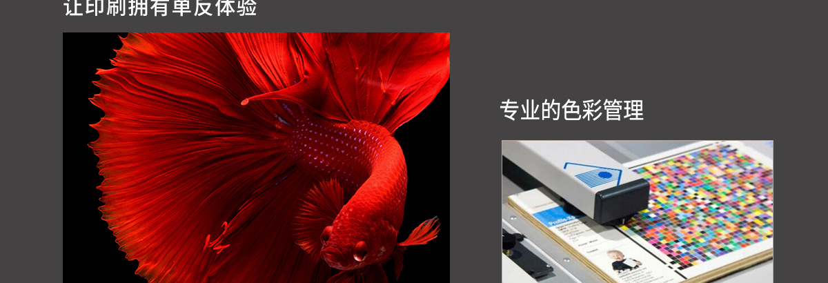 ht160091抖音在线观看