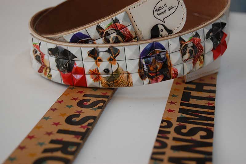 UV皮革打印機效果圖