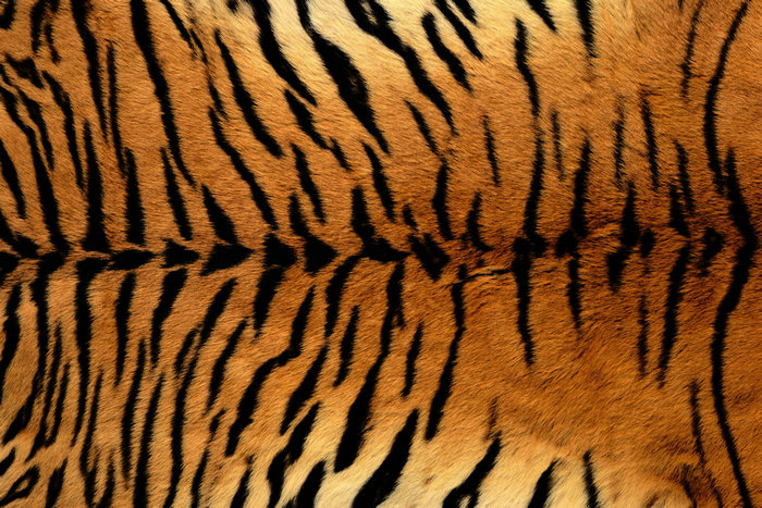 91抖音免费视频UV打印機打印案例